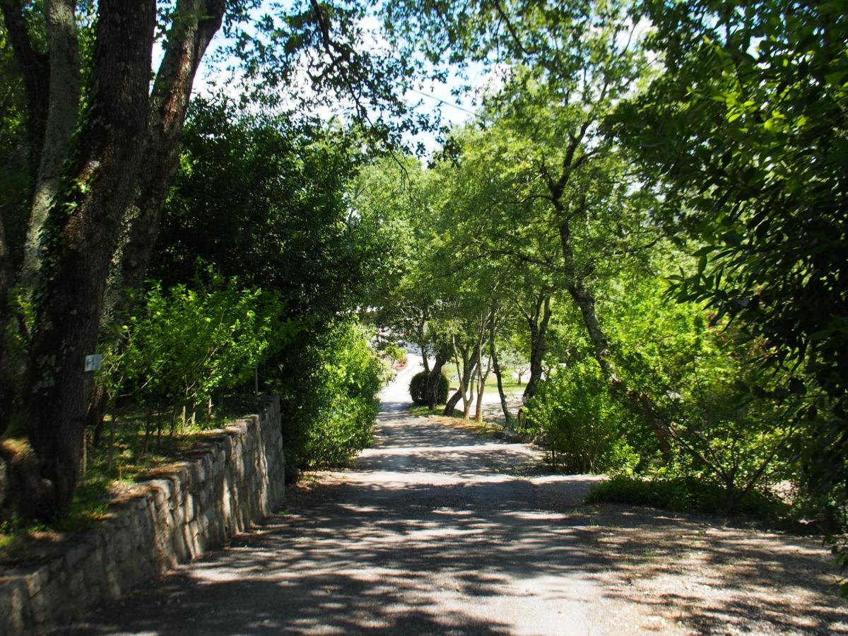 Camping Mas Du Sartre Saint Alban Auriolles Zewnętrze zdjęcie